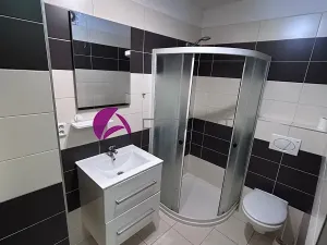 Pronájem bytu 1+1, Olomouc, Dobrovského, 46 m2