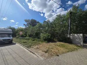 Prodej lesa, Cvrčovice, 4746 m2