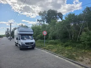 Prodej lesa, Cvrčovice, 4746 m2