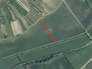 Prodej pole, Kobylí, 4454 m2