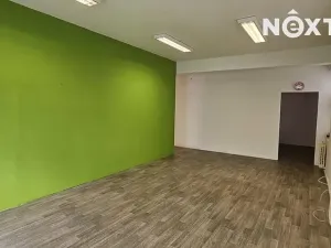 Pronájem obchodního prostoru, Tábor, U Čápova dvora, 103 m2