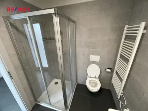 Pronájem bytu 3+kk, Smiřice, 101 m2