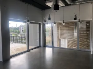 Pronájem obchodního prostoru, Plzeň, Papírnická, 168 m2