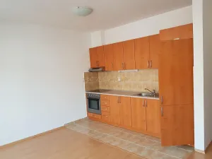 Pronájem bytu 1+kk, Brno - Žabovřesky, Minská, 29 m2