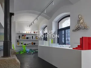 Prodej obchodního prostoru, Praha - Karlín, Šaldova, 210 m2