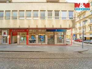 Pronájem restaurace, Plzeň - Vnitřní Město, 182 m2