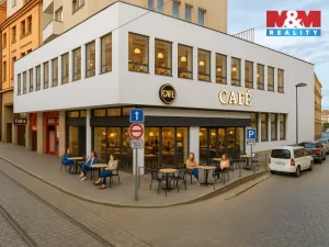 Pronájem restaurace, Plzeň - Vnitřní Město, 182 m2