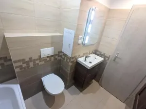 Pronájem bytu 2+1, Ústí nad Labem, Opletalova, 58 m2