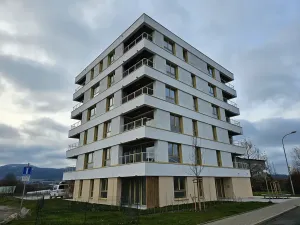Pronájem bytu 1+kk, Liberec, Polní, 34 m2