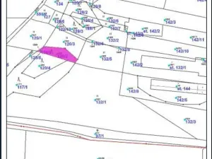 Prodej lesa, Nemile, 323 m2