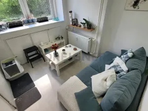 Pronájem bytu 1+1, Brno, Burešova, 59 m2