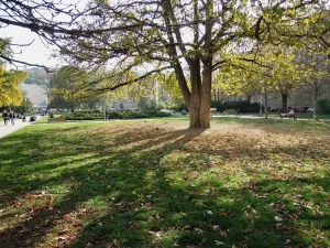 Pronájem bytu 4+kk, Brno, Údolní, 106 m2