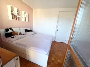 Prodej rodinného domu, Uherské Hradiště, Okružní, 250 m2