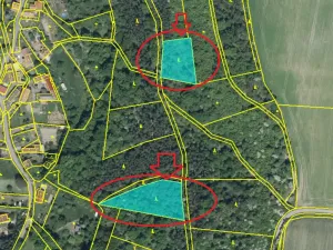 Prodej lesa, Ročov, 4272 m2