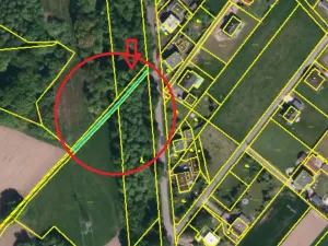 Prodej lesa, Ostrava, 8938 m2