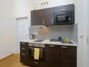 Prodej bytu 2+kk, Praha, Sokolská, 46 m2