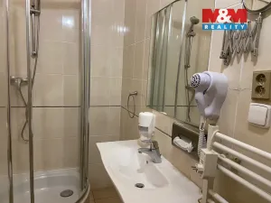 Pronájem bytu 4+kk, Plzeň - Vnitřní Město, Zbrojnická, 110 m2