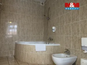 Pronájem bytu 4+kk, Plzeň - Vnitřní Město, Zbrojnická, 110 m2