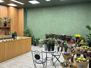 Pronájem obchodního prostoru, Brno, náměstí Svobody, 64 m2