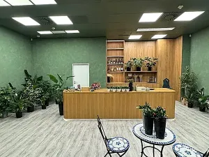 Pronájem obchodního prostoru, Brno, náměstí Svobody, 64 m2