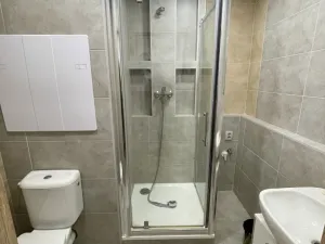 Prodej bytu 1+kk, Ostrava - Moravská Ostrava, Sládkova, 29 m2