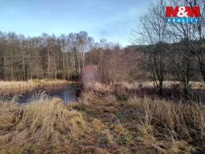 Prodej rybníku, Velká Losenice, 13639 m2