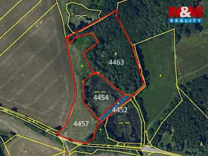 Prodej rybníku, Velká Losenice, 13639 m2