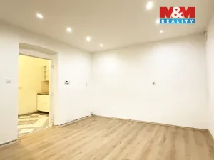 Pronájem bytu 1+1, Plzeň - Jižní Předměstí, Němejcova, 33 m2