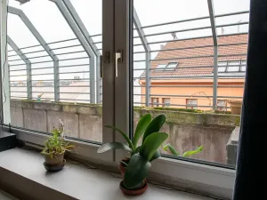 Prodej bytu 4+1, Praha - Vinohrady, Záhřebská, 87 m2