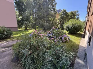 Pronájem bytu 1+1, Ostrava - Moravská Ostrava, Slavíčkova, 37 m2