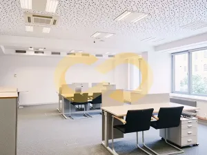 Pronájem kanceláře, Písek, Alšovo nám., 200 m2