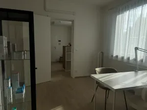 Pronájem komerční nemovitosti, Praha - Vokovice, K Červenému vrchu, 47 m2