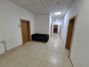 Pronájem kanceláře, Praha - Žižkov, Žerotínova, 220 m2