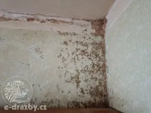 Dražba rodinného domu, Kryry, Nová, 101 m2