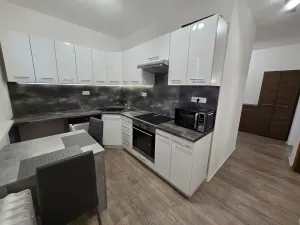 Pronájem bytu 2+1, Chomutov, Marie Pujmanové, 55 m2