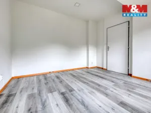 Prodej rodinného domu, Konstantinovy Lázně, Růžová, 767 m2