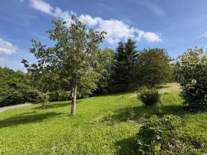 Prodej pozemku, Jestřabí v Krkonoších, 809 m2