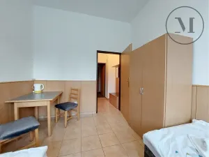 Prodej bytu 1+kk, Benešov nad Černou, 18 m2