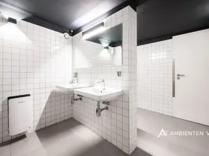 Prodej obchodního prostoru, Brno, Masarykova, 494 m2