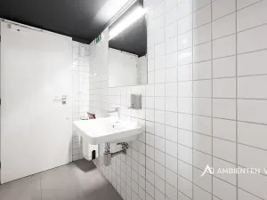 Prodej obchodního prostoru, Brno, Masarykova, 494 m2