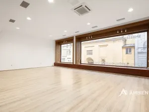 Prodej obchodního prostoru, Brno, Masarykova, 494 m2