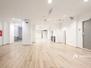 Prodej obchodního prostoru, Brno, Masarykova, 494 m2