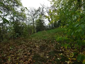 Prodej rodinného domu, Plasy, 63 m2