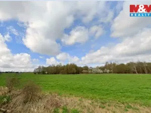 Prodej pozemku pro bydlení, Josefov - Radvanov, 8674 m2