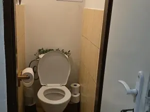 Pronájem pokoje, Praha - Holešovice, Bubenská, 15 m2