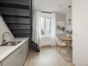 Prodej bytu 2+kk, Brno, Skořepka, 52 m2