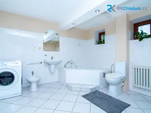 Prodej rodinného domu, Brumovice, Za Humny, 160 m2