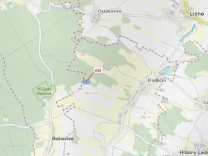 Dražba lesa, Olešnice, 15106 m2