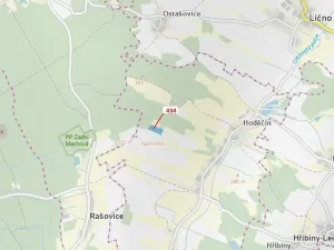 Dražba lesa, Olešnice, 15378 m2