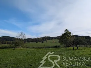 Prodej pozemku, Volenice, 1966 m2